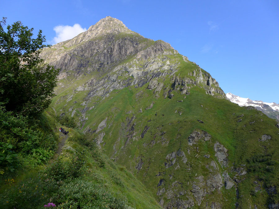 Neue Reichenberger Hütte - Wanderung Lasörlinggruppe - Dabertal unterer Teil