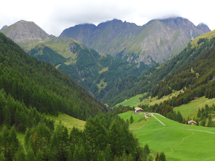 Napfspitze - Wanderung Pfunders Bödenalm - Bergtour, Edelrauthütte, Pfunderer Berge, Südtirol