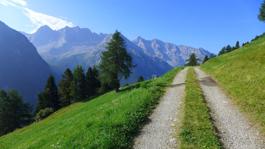 Vegetationsweg - Reiner Höhenweg, Große Windschar - Wanderung, Rein in Taufers, Ahornach, Südtirol