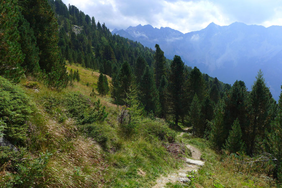 Vegetationsweg - Abstieg Ahornach - Wanderung, Rein in Taufers, Ahornach, Südtirol