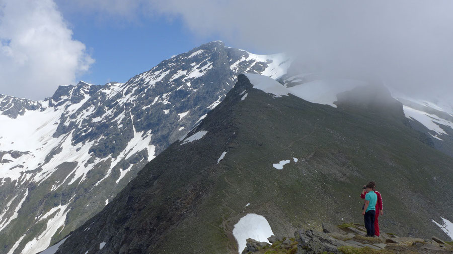 Grauleitenspitze - Westflanke mit Steigspur - Wanderung, Bergtour, Hannoverhaus, Ankogel