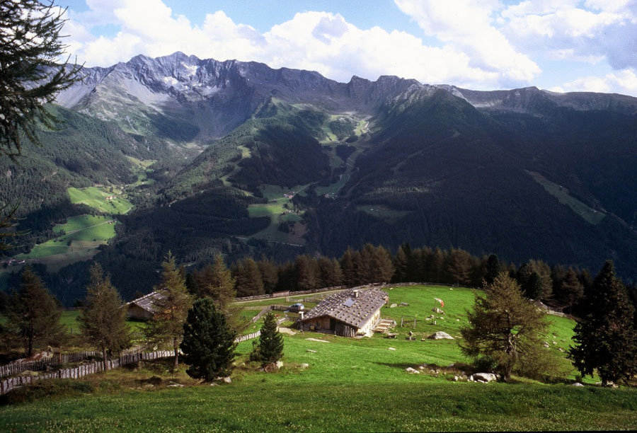 Keilbachspitze - Holzerbödenalm über'm Ahrntal - Bergtour, Zillertaler Alpen, Ahrntal, Südtirol