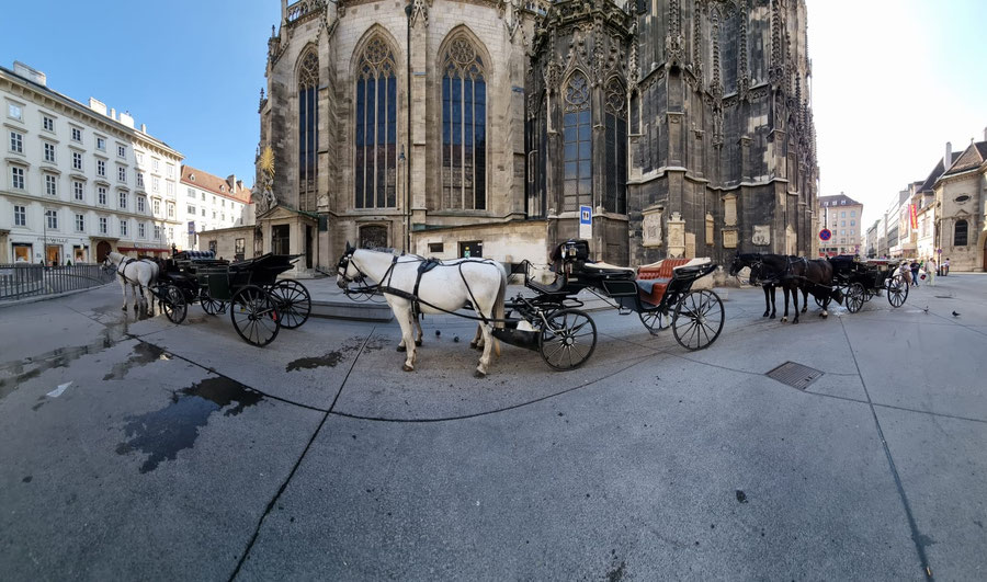 Am fiakerstandplatz stehen 3 Gespanne der Familie Rieger edel in den Farben dunkelgrün und Bentleyleder präsentieren sich die Kutschen. Die Pferde sind Lipizzaner und polnische Warmblüter