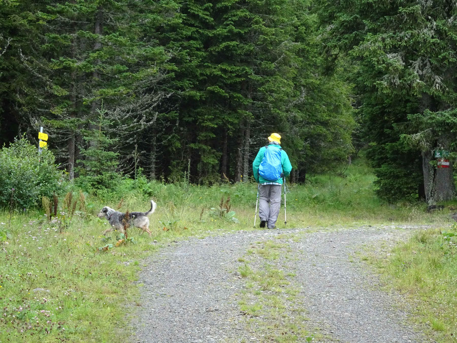 Weggabelung: Glattjoch - Hohenwart