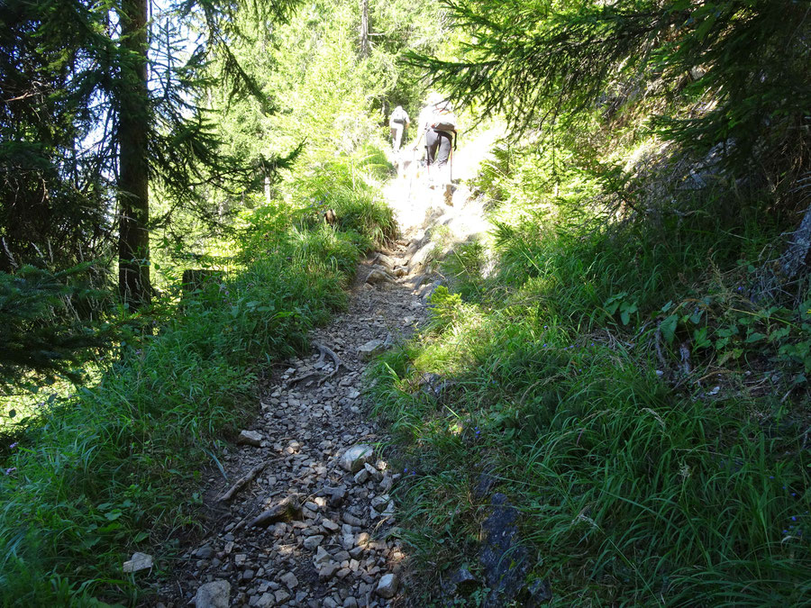 Zur Alm Hinterm Brunn ist der Weg am Beginn ein schmaler Steig.