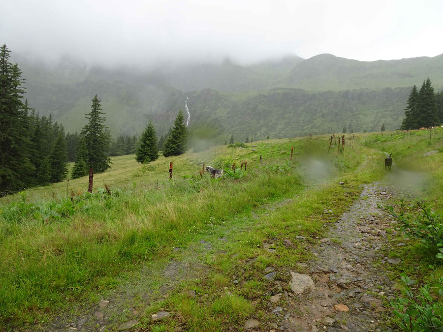 Schöttlalm, der Hohenwart im Nebel, Wasserfall unter dem Fischsee