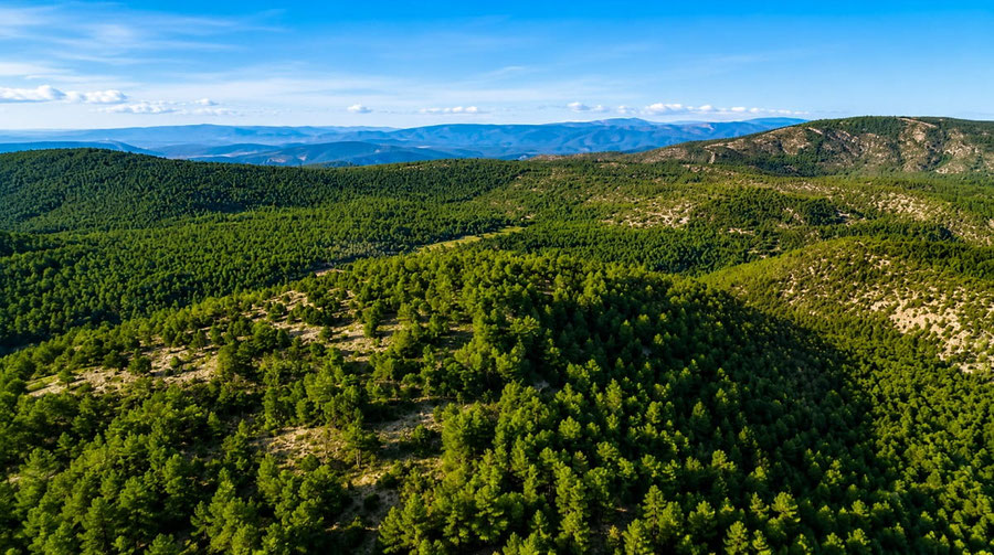 Parque Natural de la Puebla de San Miguel: Ubicado en el corazón del indómito Rincón de Ademuz, este parque natural custodia los paisajes de alta montaña más puros y vírgenes de la Comunidad Valenciana.