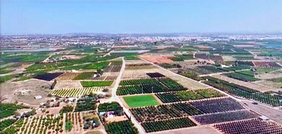 La comarca de l'Horta Sud se ubica en la zona sur del área metropolitana de la ciudad de Valencia y cuenta con 20 municipios, limita al este con el parque natural de la Albufera.