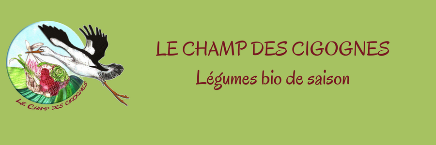 Champ des cigognes
