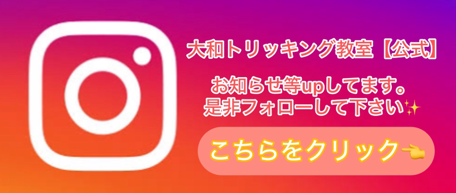○ホーム - ☆大和トリッキング教室☆【公式HP】
