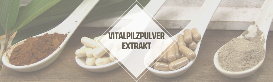 Vitalpilzextraktpulver
