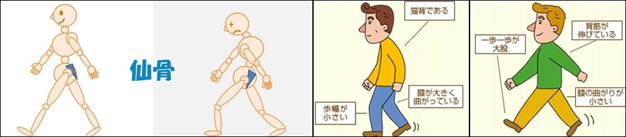 正しい姿勢と歩き方