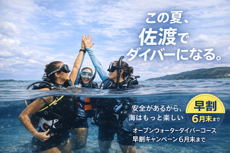 佐渡でPADIダイビングライセンスを取得するならフリーウェイ佐渡店