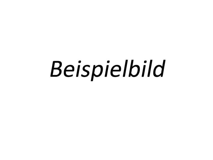 Dres. Holzmüller, Pfisterer und Referenten (von links).