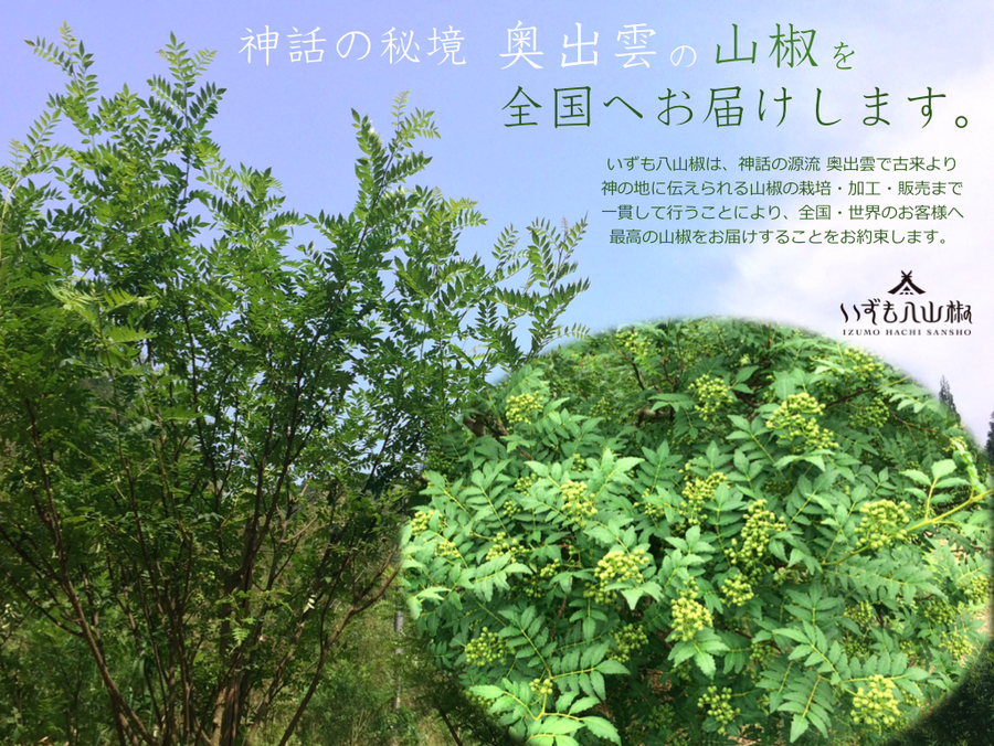 いずも八山椒 神話薫る奥出雲山椒 いずも八山椒 有限会社 いずも八山椒 神話薫る奥出雲山椒 いずも八山椒 有限会社
