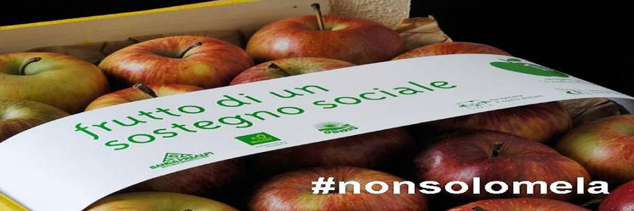 Benvenuti su fruttosostegnosociale!