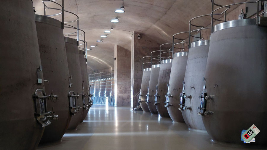 Tanques de hormigón bemberg bodega