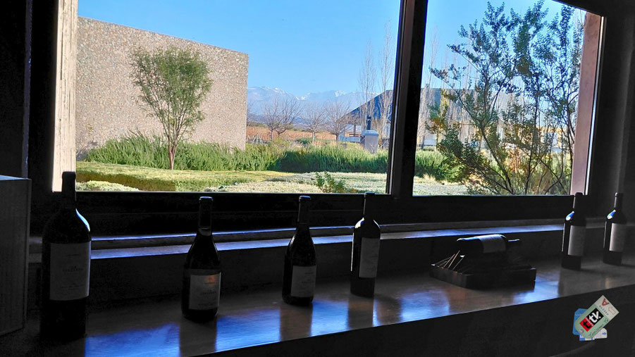 Recepción Bodega Bemberg Mendoza