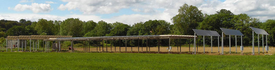 agrivoltaique eco solution energie