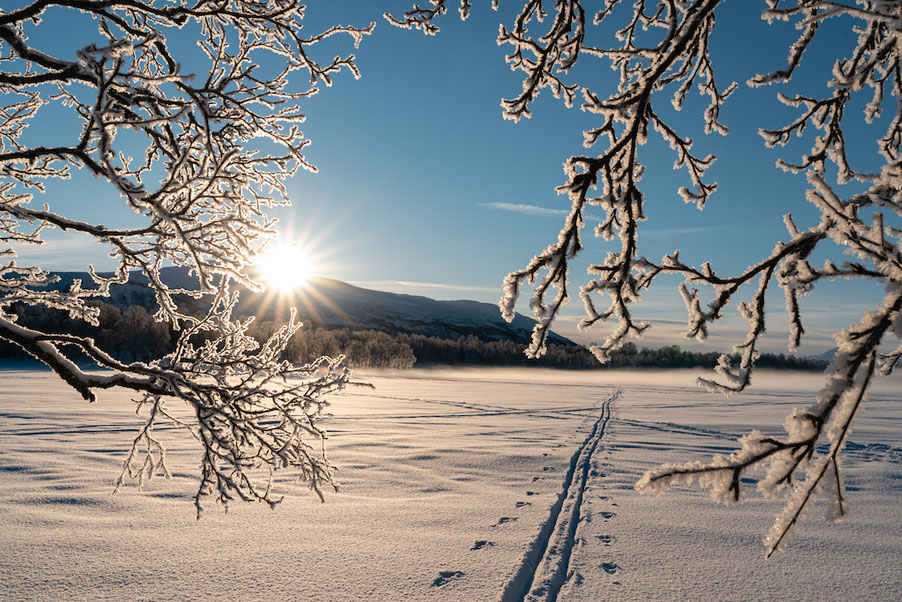 Winter Norwegen Sonne Langlaufen Fjellski Tromsø