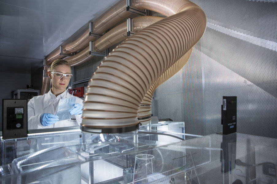 Crédit photo BASF