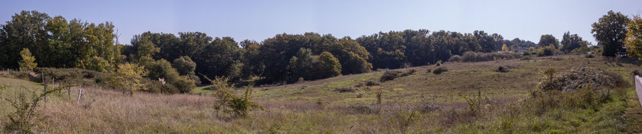 Panoramique 2. Anciennes terres agricoles du Domaine de Gratian, Cénac, Gironde. 16 octobre 2017