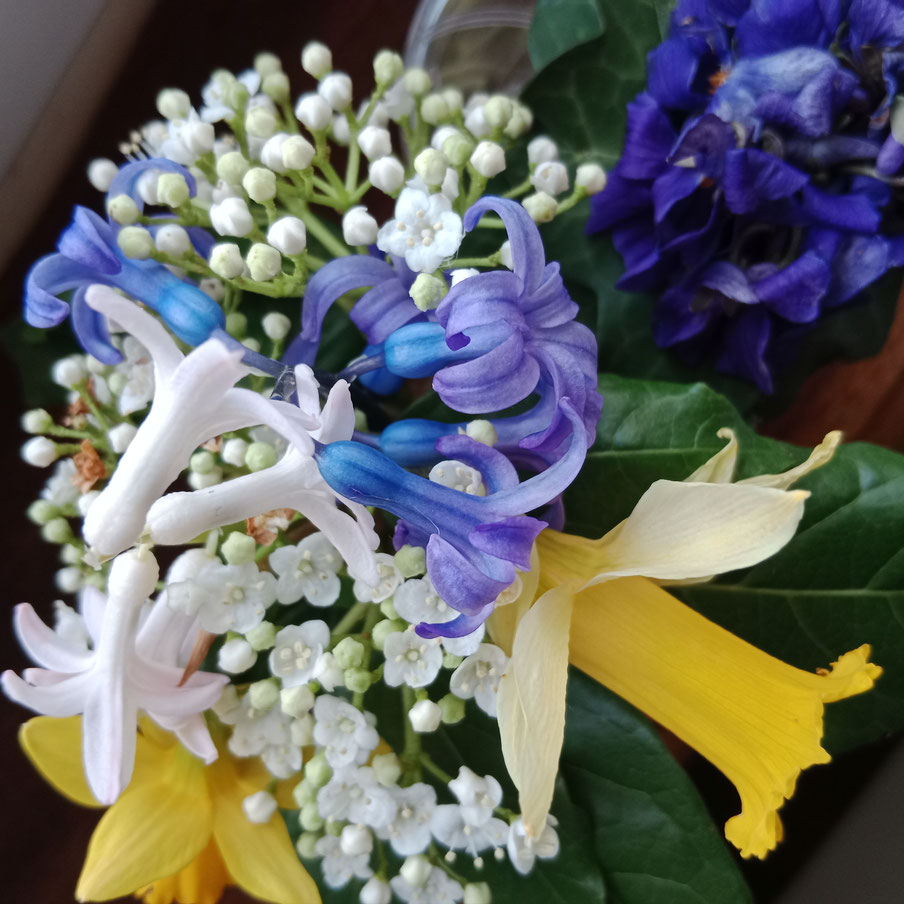 Підтримка народу України / Soutien au peuple ukrainien. Bouquet de fleurs de jardin aux couleurs du drapeau ukrainien. Photographie : Christian Coulais