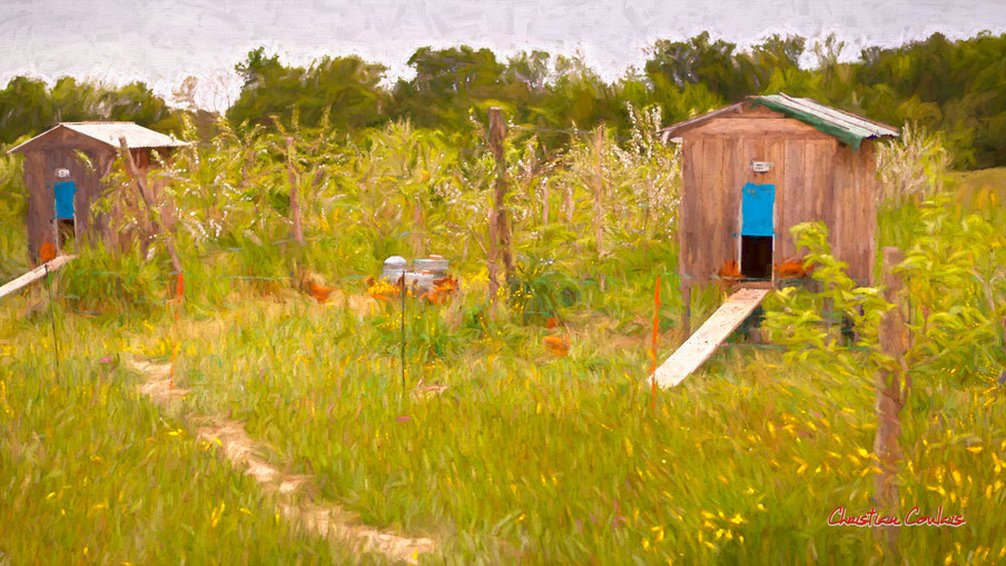 "Poulaillers à la manière de Degas" Le jardin Délices de Claire Lasserre, 2 route de Camblanes, 33670 St Genès de Lombaud. Photographie © Christian Coulais