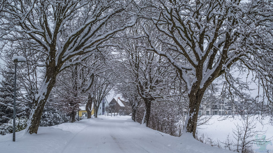 Sagard im Winter 2021