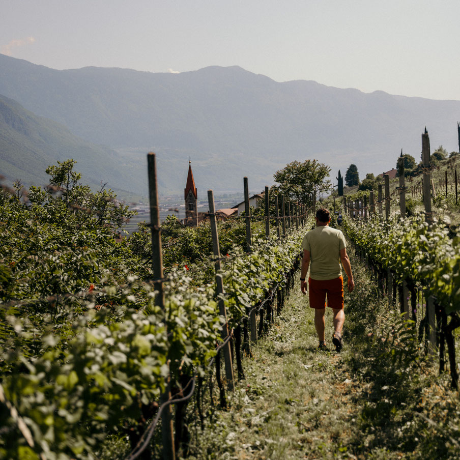 GEWÜRZTRAMINERWEG - Wandertipp: Weinwandern in Tramin an der Weinstrasse - Südtirol ©Marika Unterladstätter