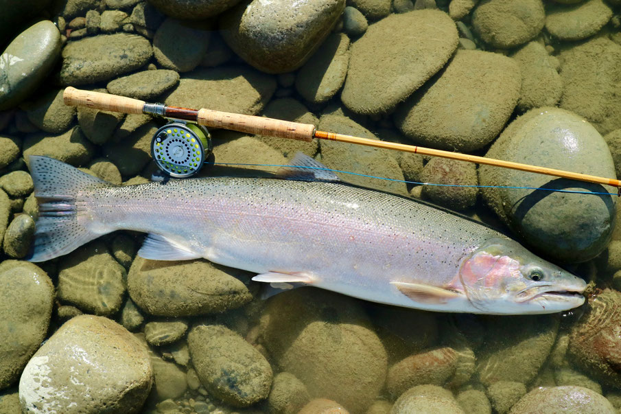 スティールヘッド　Steelhead　スウィートグラス　バンブーロッド　Bamboo Rod　Sweetgrass