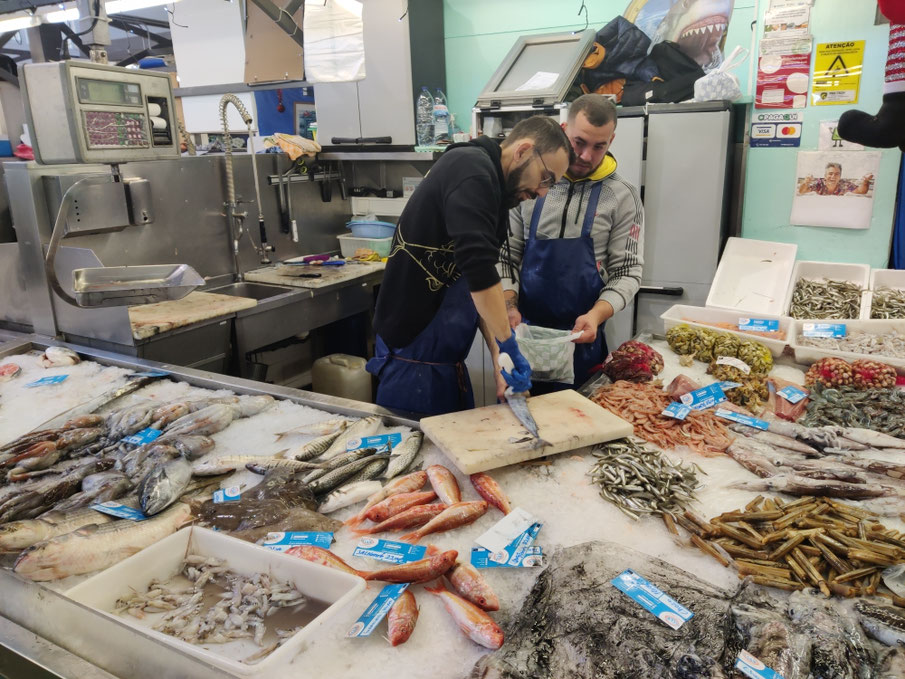 Zona Bué, Fischhändler in Portimao, Fischmarkt Portimao, Markthalle Portimao, Martins Kulinarium, Kulinarium Academy, Kochschule Algarve, Kochschule, Algarve, Carvoeiro, Lagoa, Portugal, Fische, Fisch, Meeresfrüchte, Kochen, Fisch Kochen, Fisch zubereiten