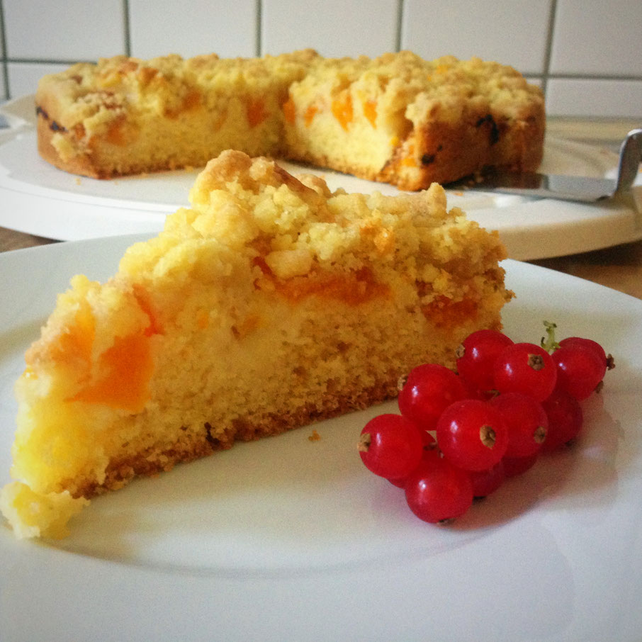 Saftiger Aprikosen-Streusel-Kuchen - Hyggelust - der Blog zum Wohlfühlen