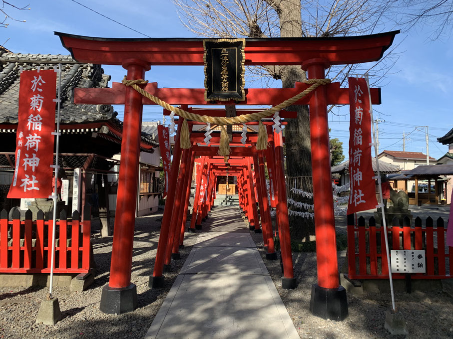 於菊稲荷神社 於菊稲荷神社
