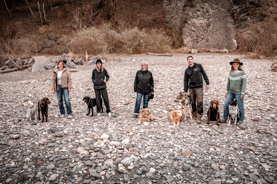 Team von Hundetrainer mit verschiedenen Hunden im Alltag, gemeinsame Arbeit an Beziehung, Kommunikation und Orientierung. 
