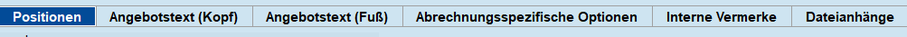 Positionsdaten Angebot