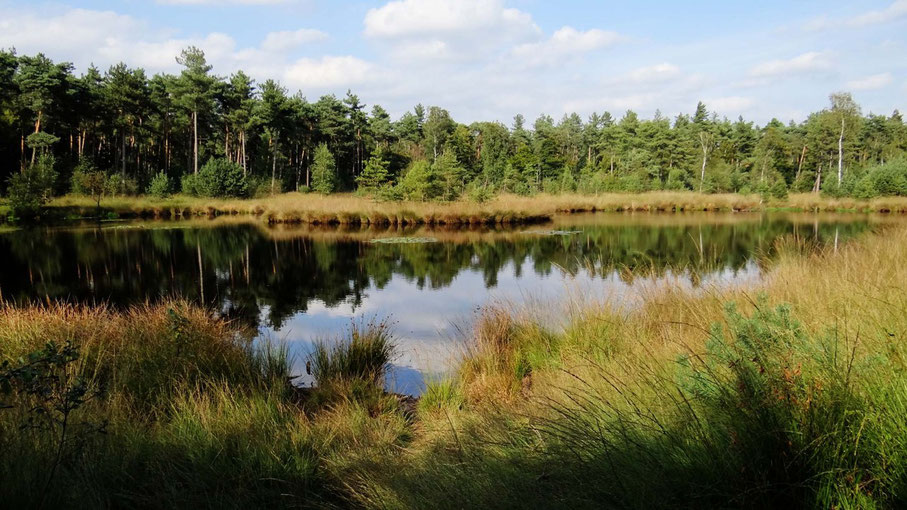 bosven in het bos van www.canvastirol.nl