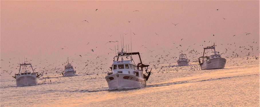 retour de pêche -ac-2