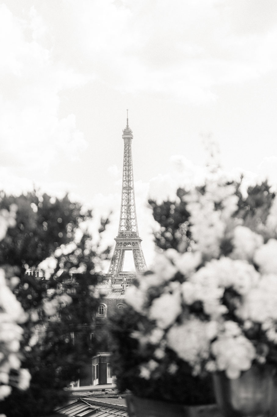 intimate wedding in Paris