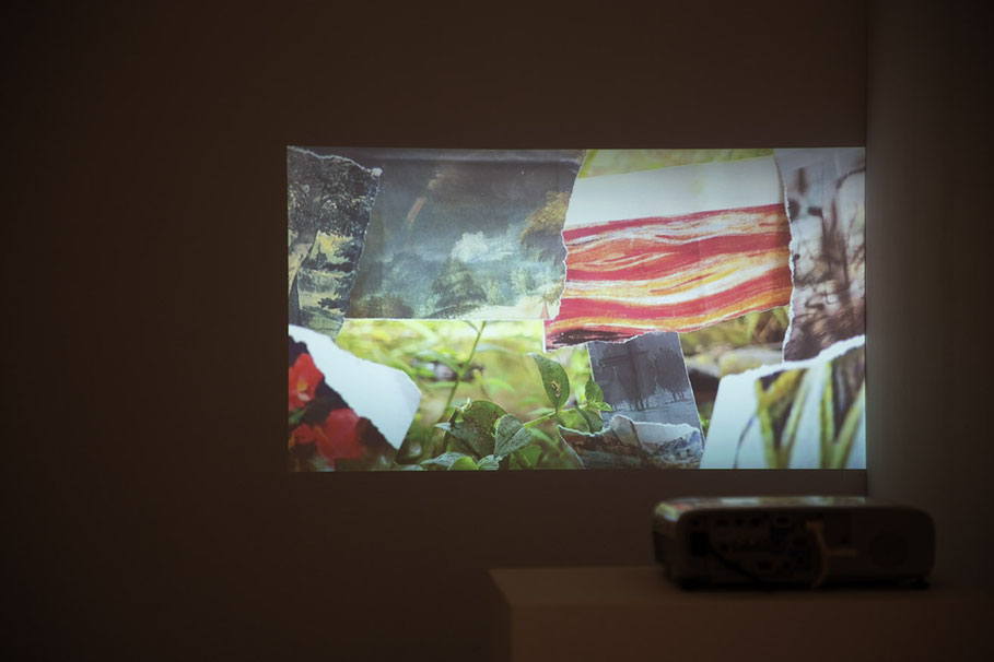 Untitled. 5 loop videos. 2019-2024
