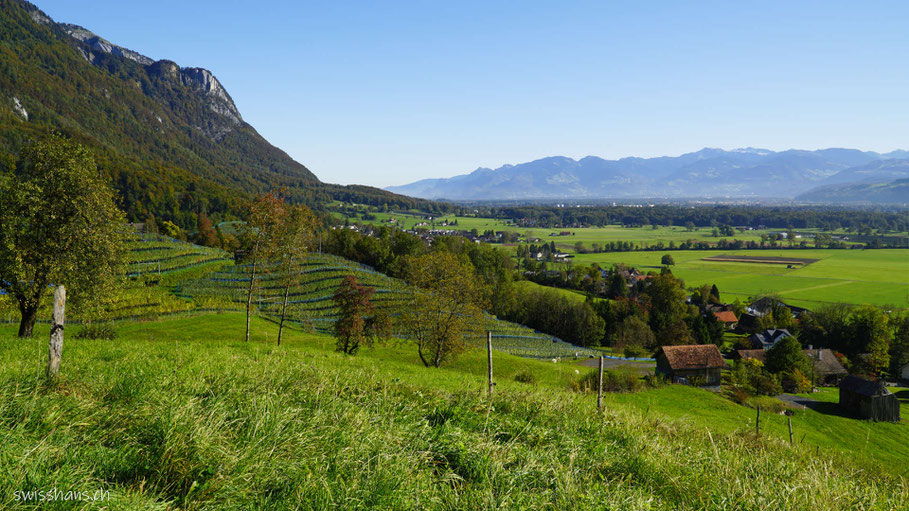 Blick auf das Rheintal beim Trübliweg in Frümsen