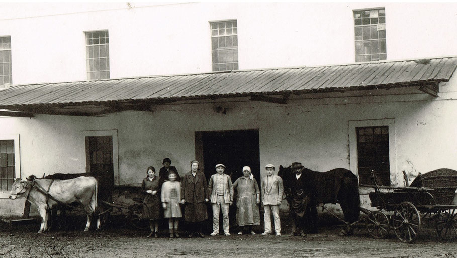 Watzl Mühle Geschichte