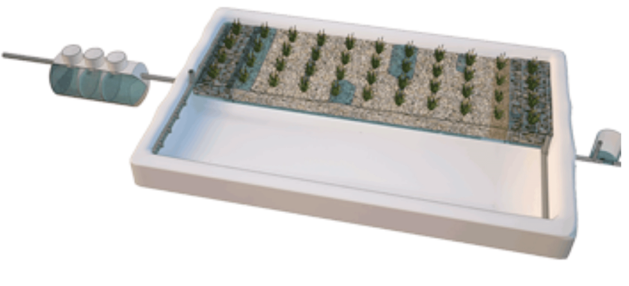 station d'épuration avec phytoépuration