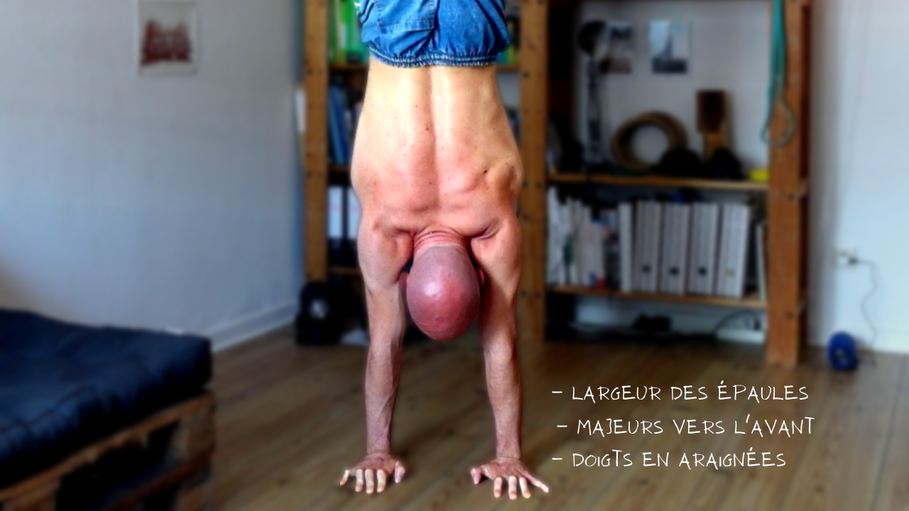 Handstand Comment bien placer ses mains au sol ? Philosport