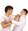 CLICK HERE to go to the site of the European WingTsun organisation