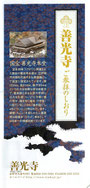 2010/08 PAMPH