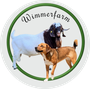 Züchter für Burenziegen -Boer Goat  -in Österreich