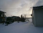 突然の雪