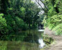 The north portal of Waseley Tunnel on the Worcester Canal at Primrose Hill.