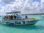 Ausflug Insel Saona mit Speedboot